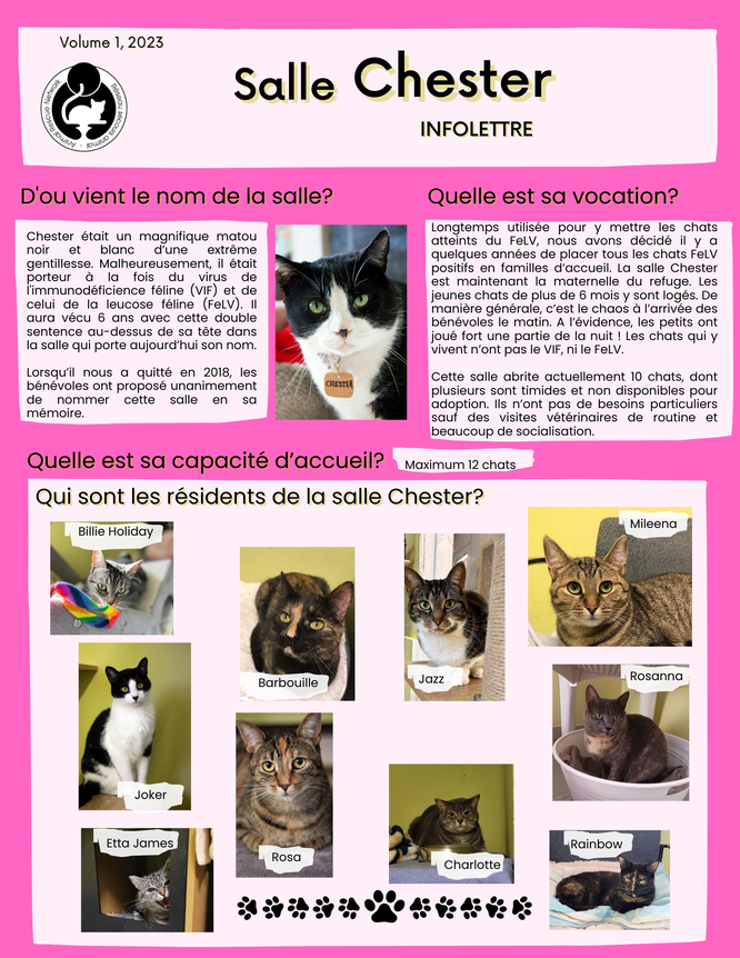 Infolettre Chester 2
