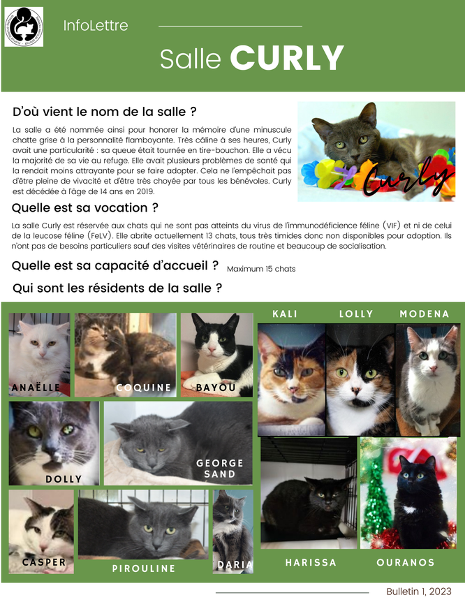 Infolettre Curly 2