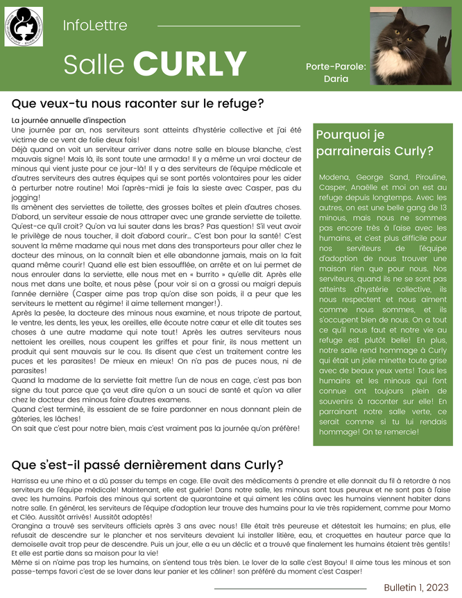 Infolettre Curly