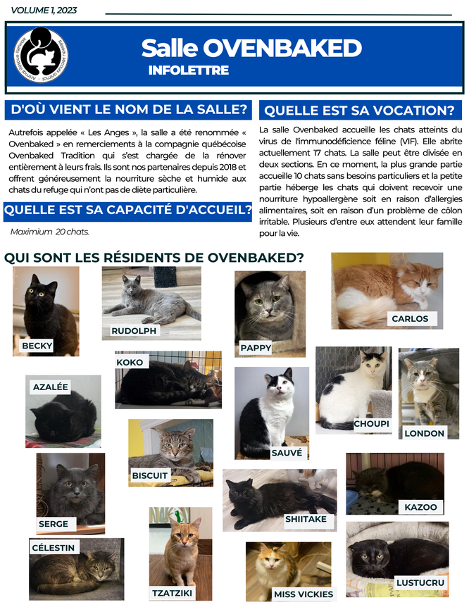 Infolettre Ovenbaked 2