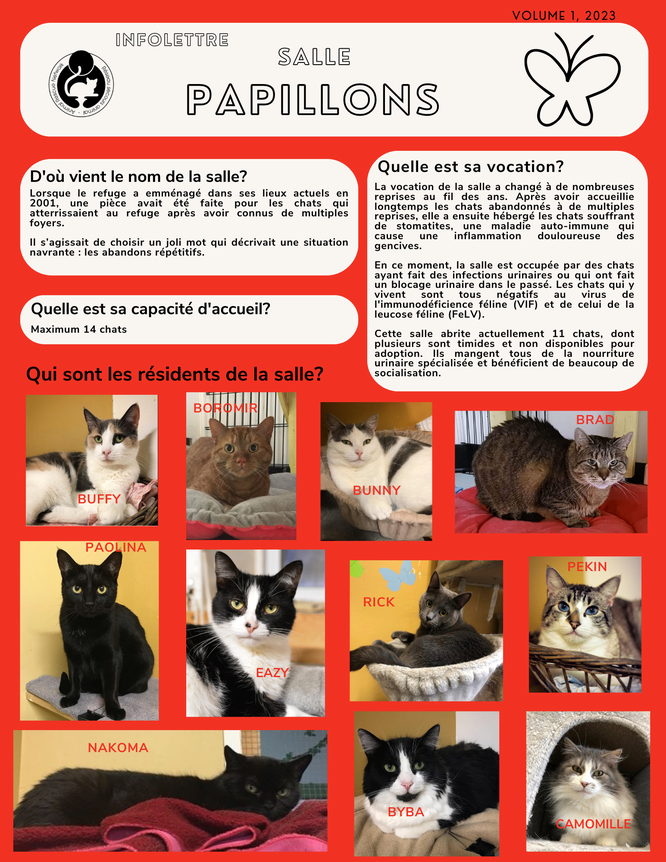 Infolettre Papillons 2
