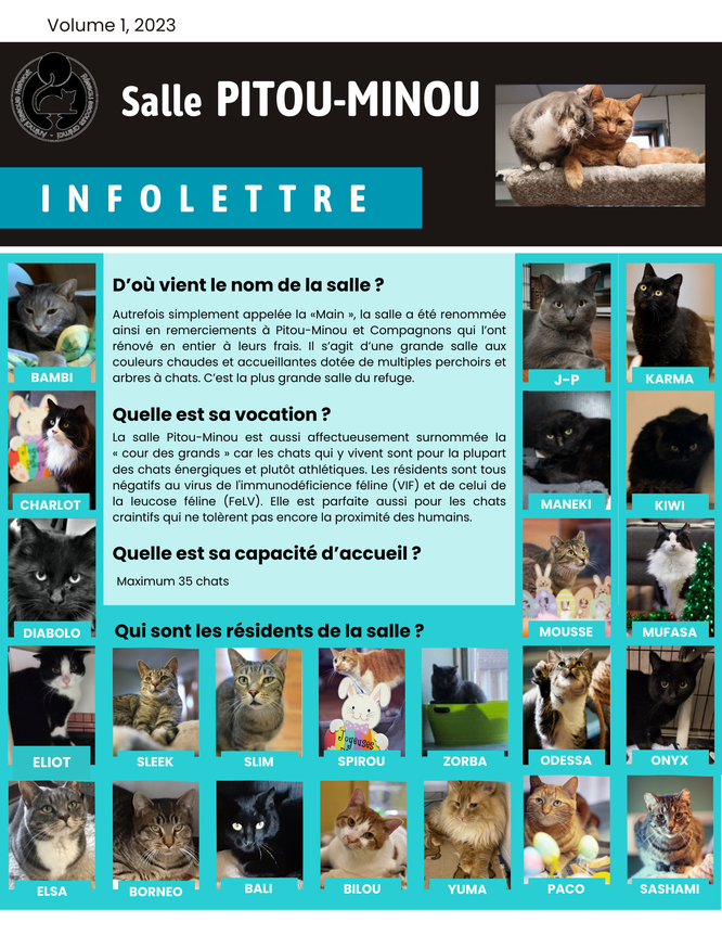 Infolettre Pitou-Minou 2