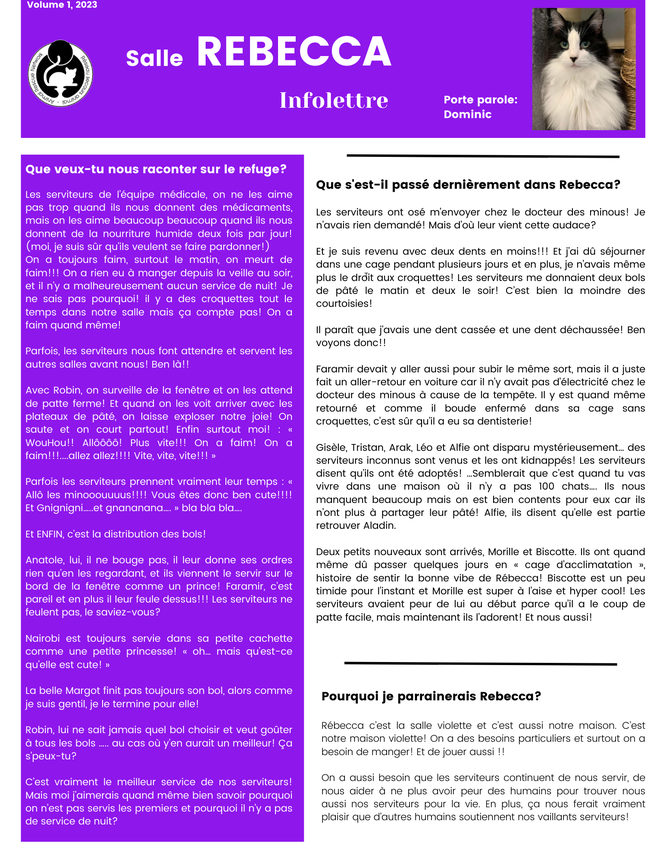Infolettre Rebecca