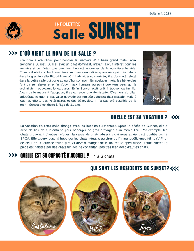 Infolettre Sunset 2