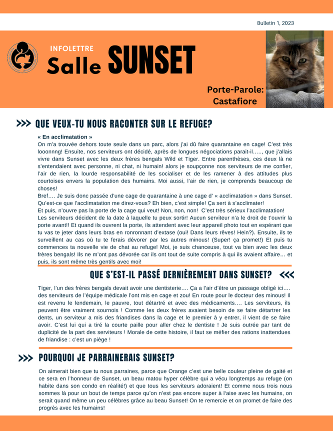 Infolettre Sunset