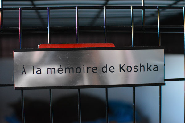 À la mémoire de Koshka