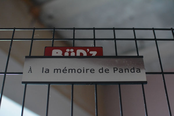 À la mémoire de Panda